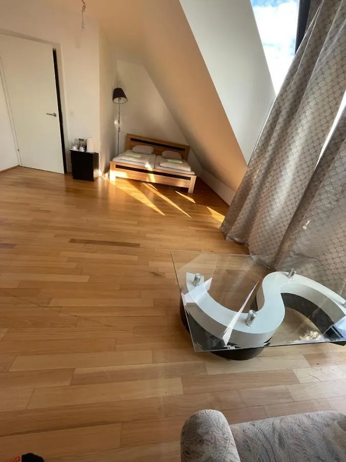 Rooftop Room With Terrace. Vienna 0*,  Austria